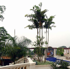 Canahuati Residence - San Pedro Sula, Hondoras Pool 2