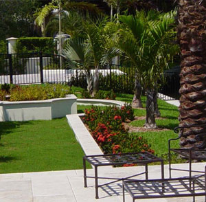 Gables Estates Residence - Coral Gables, FL Yard