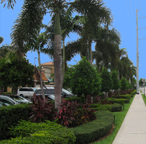 Glades Plaza - Boca Raton, FL - Woolbright Development